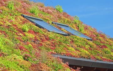 Saughton living roof systems