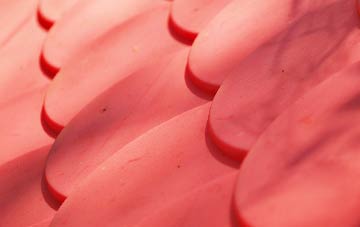 Saughton plastic roof costs