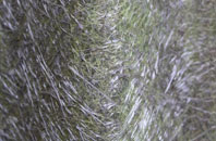 Saughton fibreglass roof work